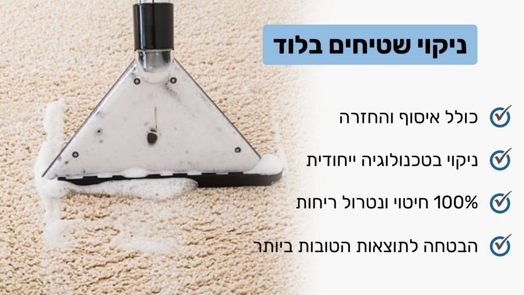 ניקוי שטיחים בלוד