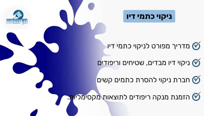 ניקוי כתמי דיו